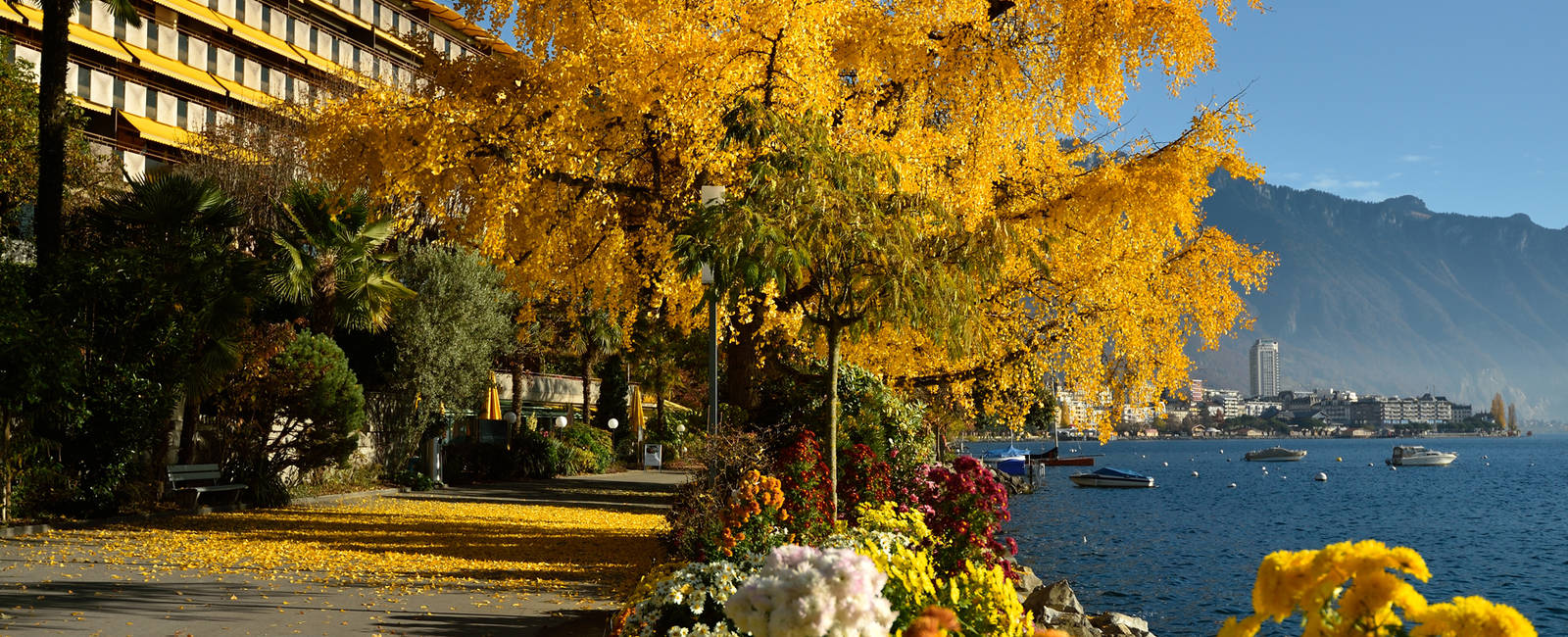 Royal Plaza Montreux